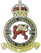 207 Squadron Badge